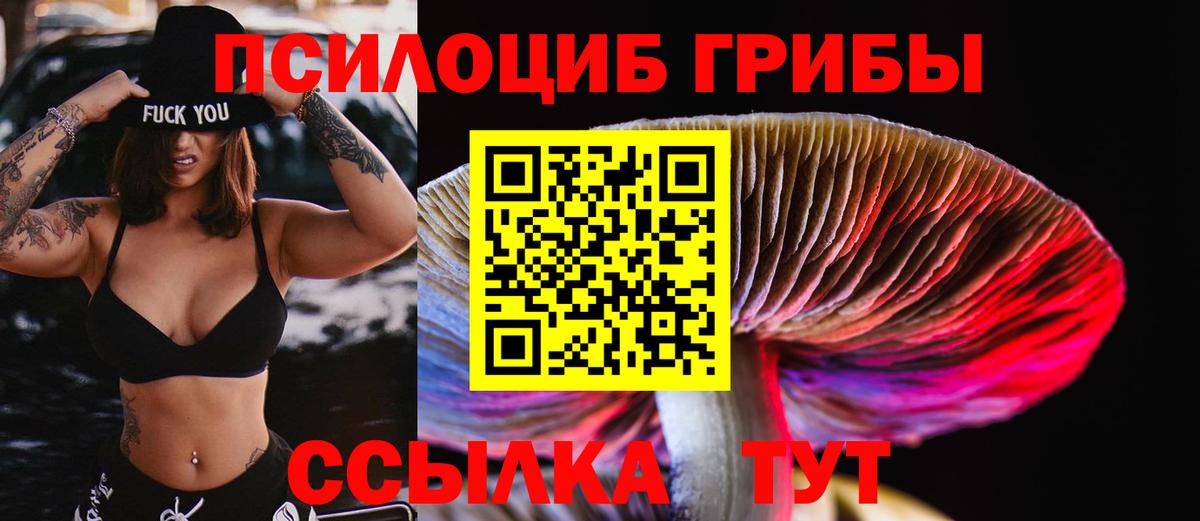 Галлюциногенные грибы Cubensis Кизляр
