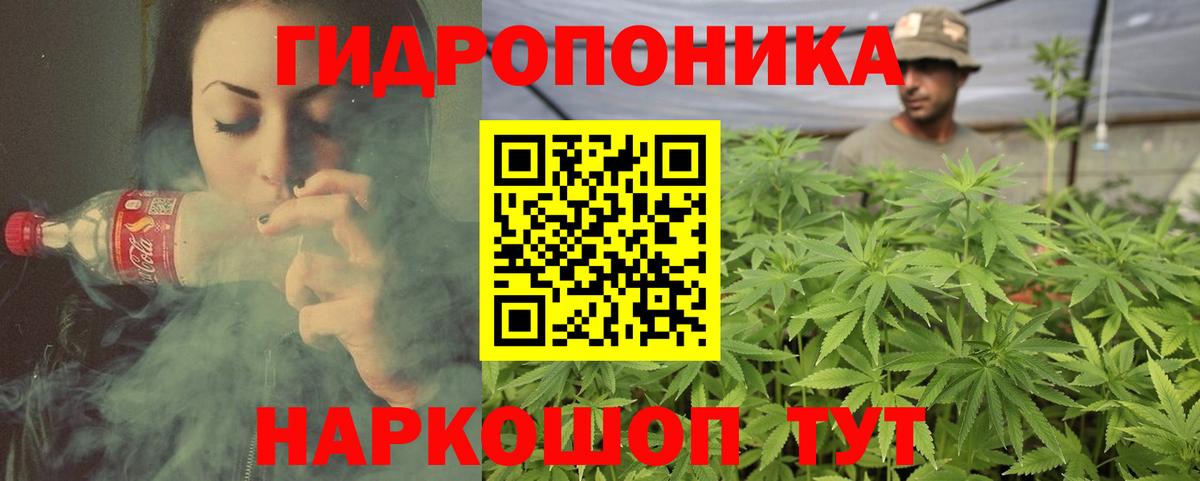 Бошки марихуана OG Kush  Бошки Шишки семена  Кизляр  Вход с VPN  Шишки марихуана Bruce Banner 